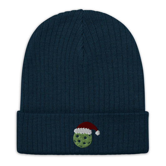 Holiday Ball Beanie
